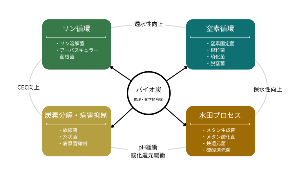 バイオ炭の機能概要