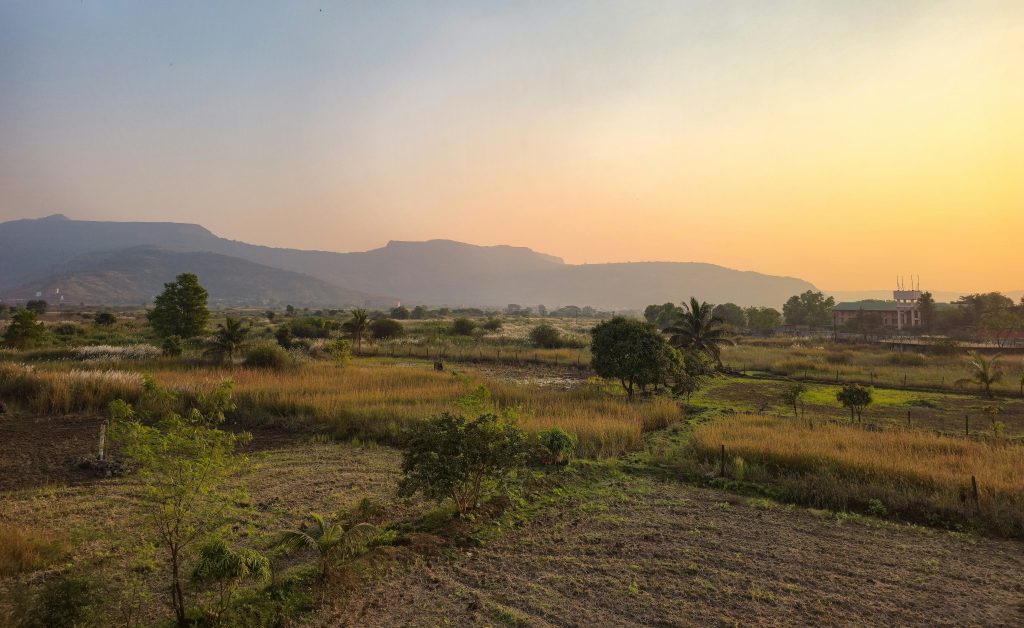 夕方の農地の風景。バイオダイナミック農法を「農場をひとつの生き物として組み立てる」設計思想として整理した記事のアイキャッチ