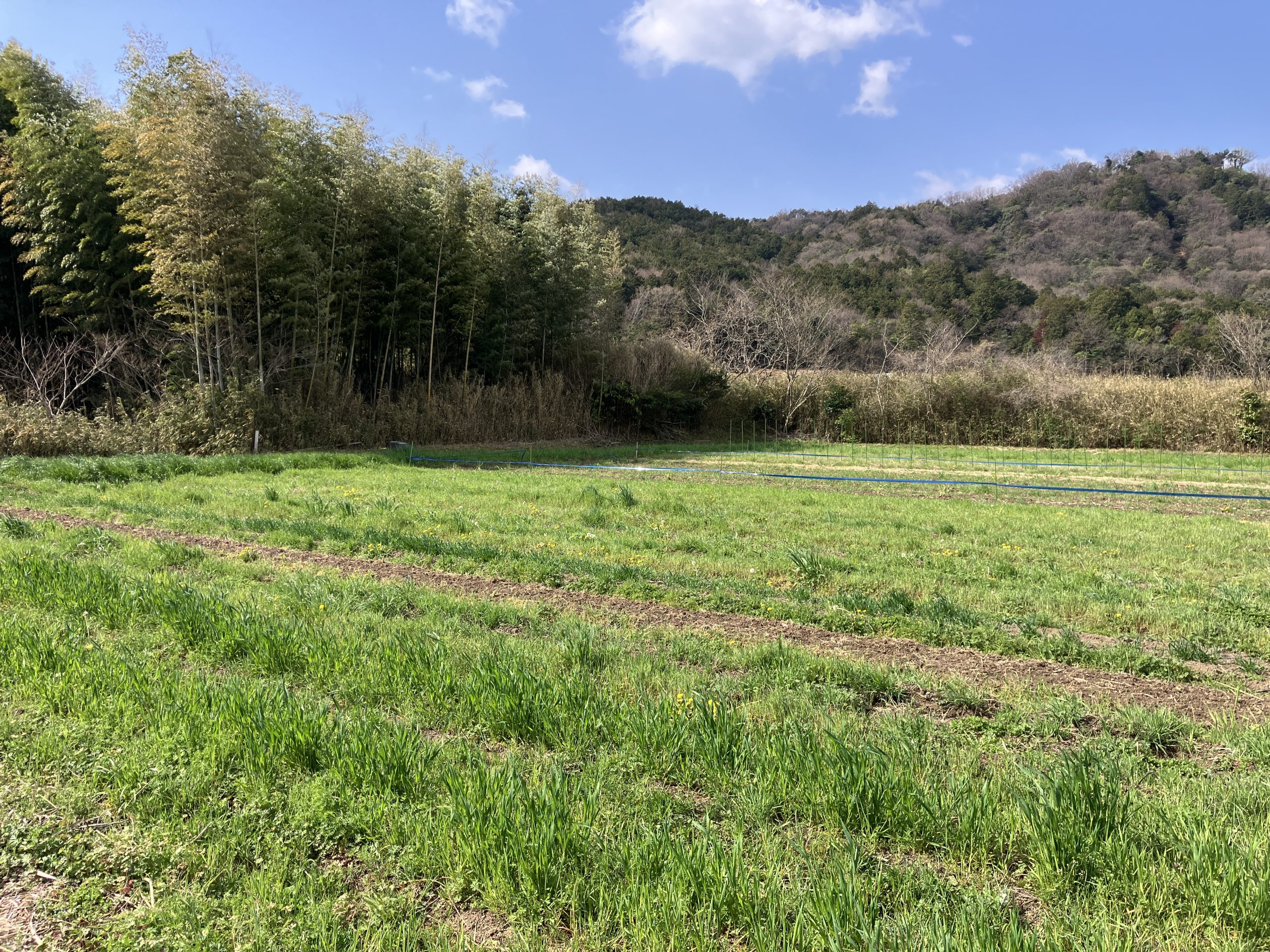 里山と田んぼの近くにある畑の風景
